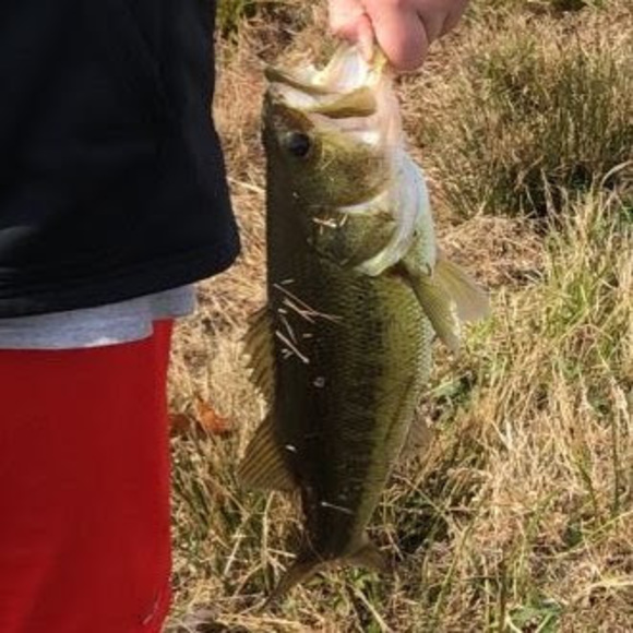 Meet your Posher, Jake - Picture 1 of 1